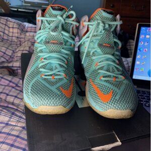Size 9.5 - Nike LeBron 12 NSRL - 684593-301